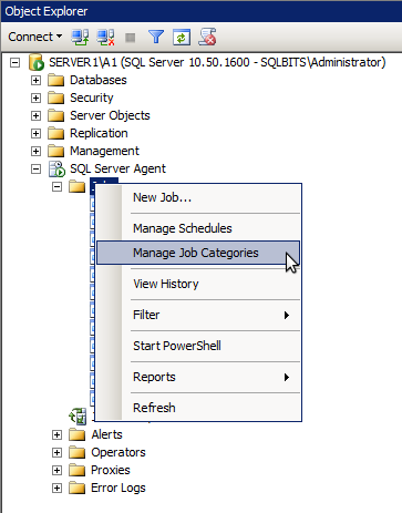 Manage job categories